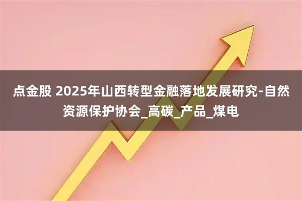 点金股 2025年山西转型金融落地发展研究-自然资源保护协会_高碳_产品_煤电